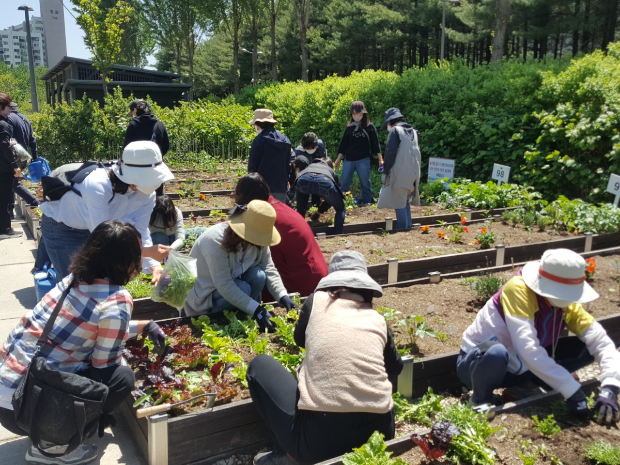 첨부파일 이미지