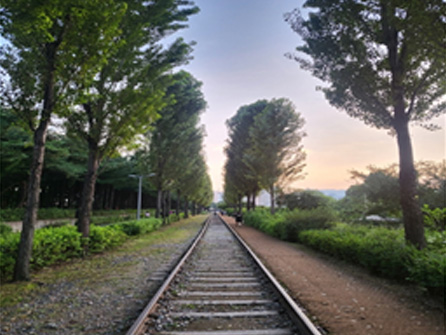 경춘선 숲길(경춘철교, 경춘숲공원)