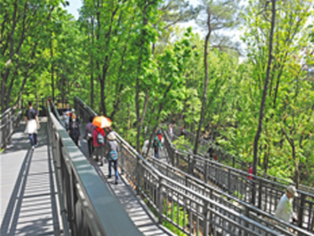 수락산 무장애 숲길