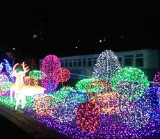 불빛정원 이미지1