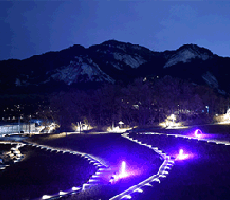 철쭉동산 이미지