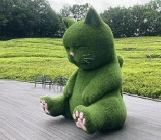 고양이 토피어리 이미지