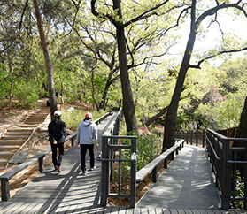 영축산 힐링타운 순환산책로 이미지5