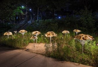 Nowon Moonlight Festival - photo1