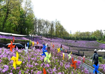 Bul-am-san Royal azalea Festival - photo6