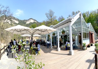 Bul-am-san Royal azalea Festival - photo5