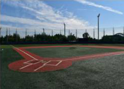 sports field - photo2