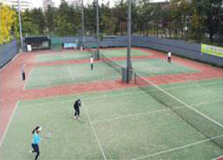 sports field - photo3