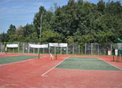 sports field - photo4