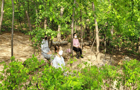 체험형 프로그램 사진