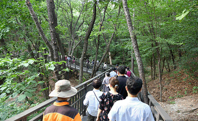 무장애숲길 이미지