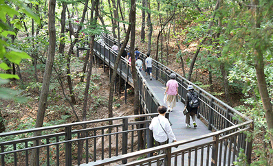 무장애숲길 이미지