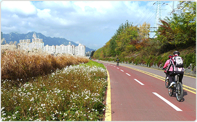 중랑천의 노원 갈대숲