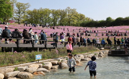불암산 철쭉제 사진1