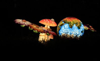 노원등축제 사진5